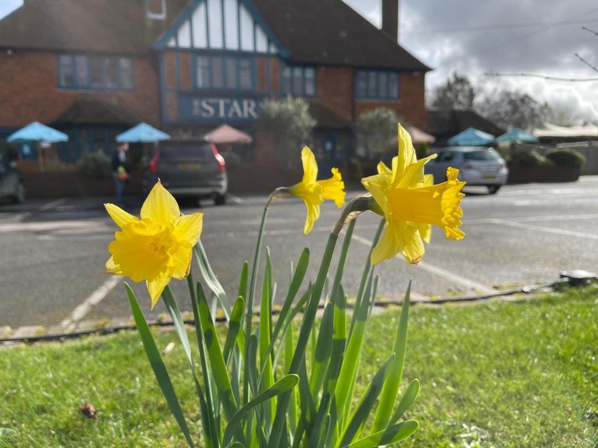 The Star Inn Lingfield Exterior foto