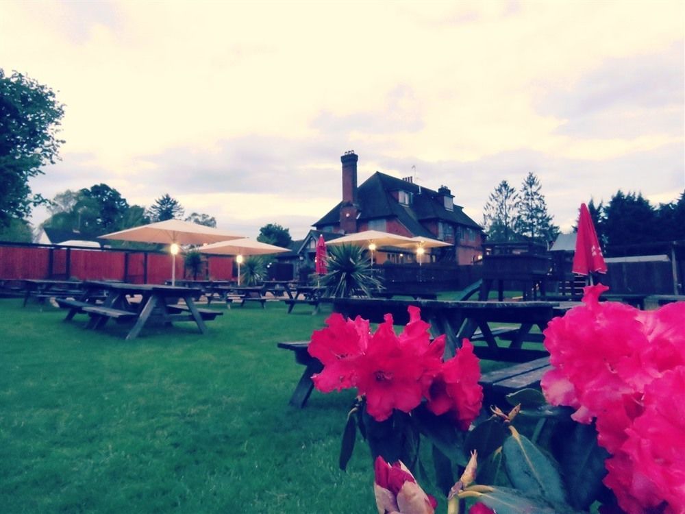 The Star Inn Lingfield Exterior foto